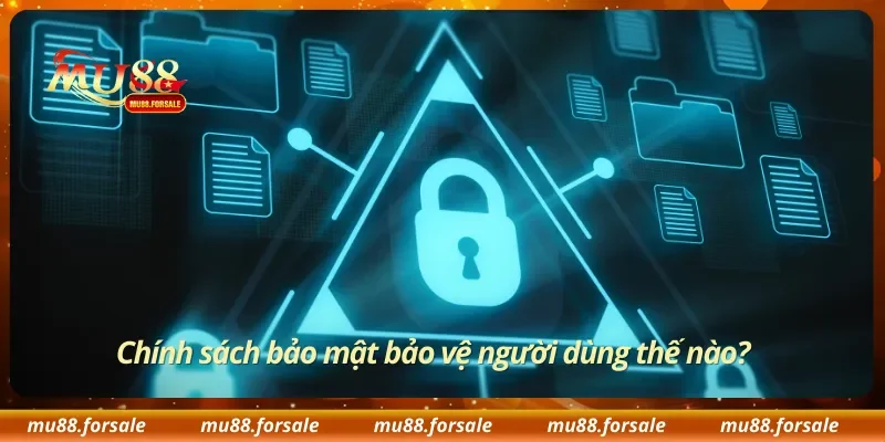 Chính sách bảo mật bảo vệ người dùng thế nào?