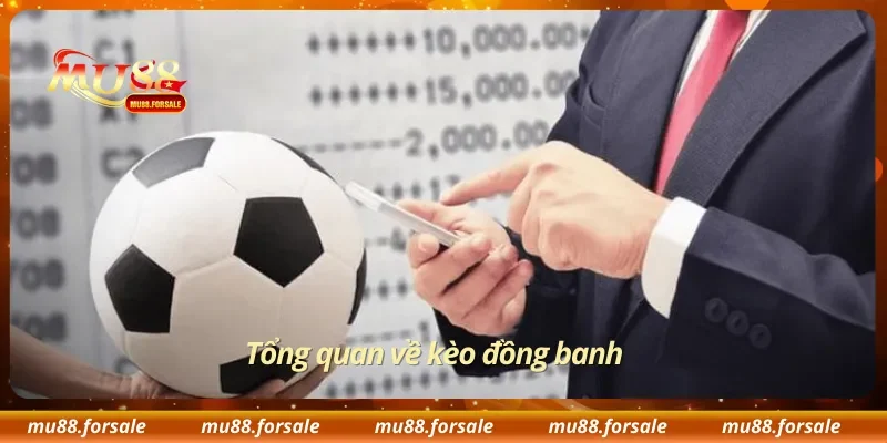 Tổng quan về kèo đồng banh